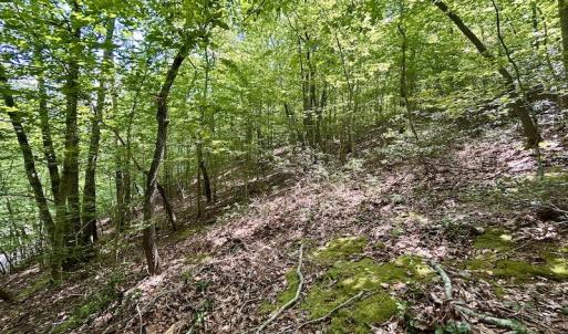Photo #30 of Off Robin Ridge Court, Pittsville, VA 3.9 acres