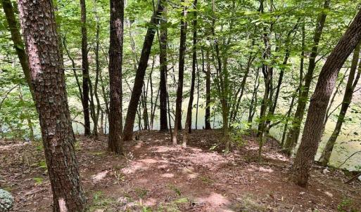 Photo #31 of Off Robin Ridge Court, Pittsville, VA 3.9 acres