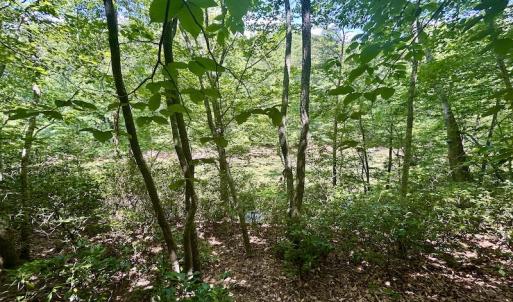 Photo #35 of Off Robin Ridge Court, Pittsville, VA 3.9 acres