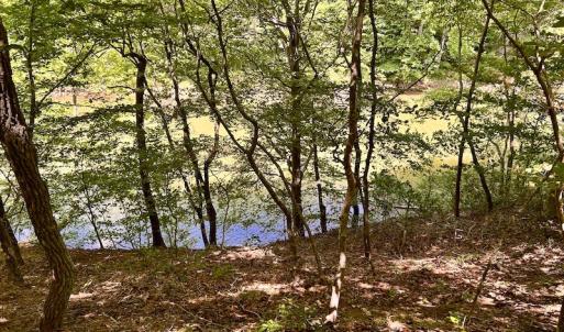 Photo #36 of Off Robin Ridge Court, Pittsville, VA 3.9 acres