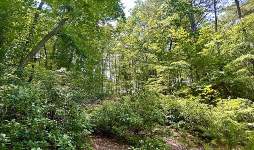 Photo #37 of Off Robin Ridge Court, Pittsville, VA 3.9 acres
