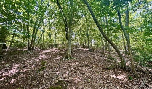 Photo #38 of Off Robin Ridge Court, Pittsville, VA 3.9 acres