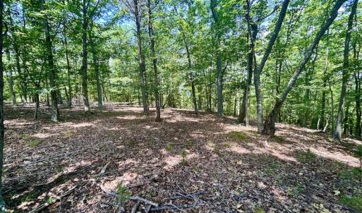 Photo #39 of Off Robin Ridge Court, Pittsville, VA 3.9 acres