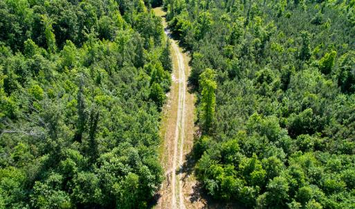 Photo #5 of SOLD property in Off Clifton Road, Woodford, VA 44.9 acres