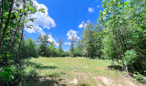 Photo #6 of SOLD property in Off Clifton Road, Woodford, VA 44.9 acres