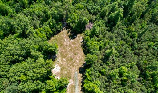 Photo #8 of SOLD property in Off Clifton Road, Woodford, VA 44.9 acres