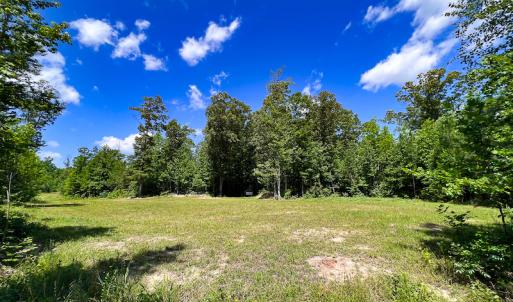 Photo #9 of SOLD property in Off Clifton Road, Woodford, VA 44.9 acres