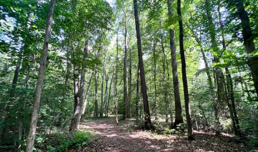 Photo #20 of SOLD property in Off Clifton Road, Woodford, VA 44.9 acres