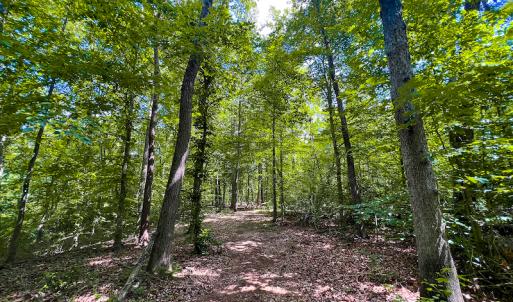 Photo #25 of SOLD property in Off Clifton Road, Woodford, VA 44.9 acres