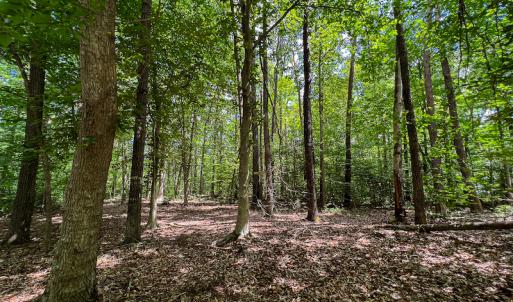 Photo #26 of SOLD property in Off Clifton Road, Woodford, VA 44.9 acres
