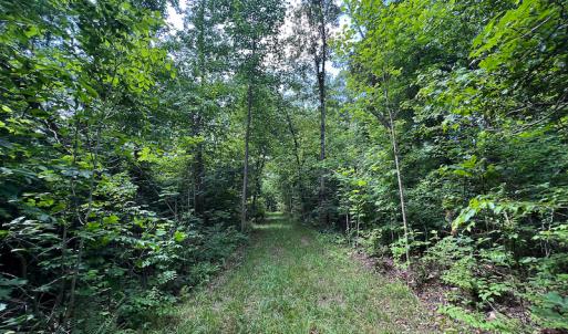 Photo #33 of SOLD property in Off Clifton Road, Woodford, VA 44.9 acres