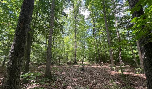 Photo #34 of SOLD property in Off Clifton Road, Woodford, VA 44.9 acres
