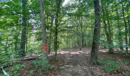 Photo #35 of SOLD property in Off Clifton Road, Woodford, VA 44.9 acres