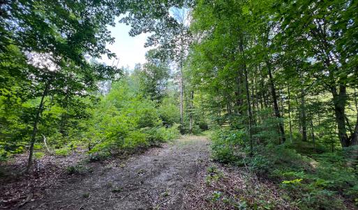 Photo #38 of SOLD property in Off Clifton Road, Woodford, VA 44.9 acres