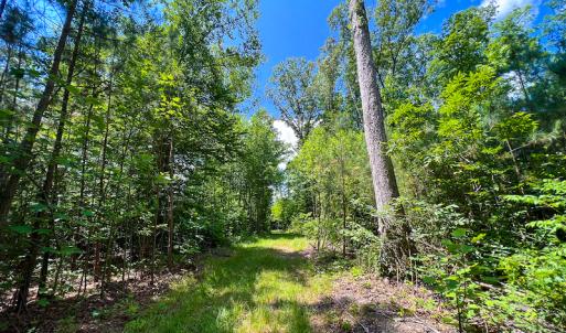 Photo #39 of SOLD property in Off Clifton Road, Woodford, VA 44.9 acres