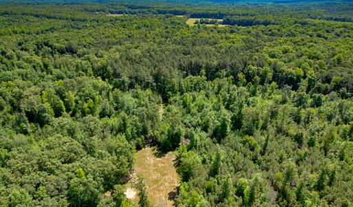 Photo #45 of SOLD property in Off Clifton Road, Woodford, VA 44.9 acres