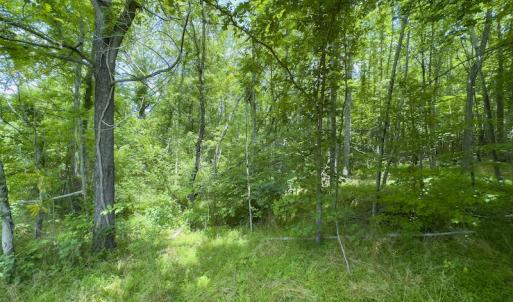 Photo #16 of SOLD property in Off Centennial Drive , Yanceyville, NC 4.0 acres