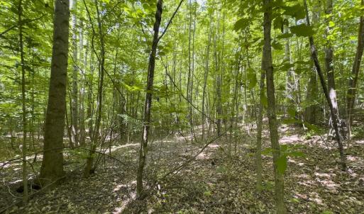 Photo #17 of SOLD property in Off Centennial Drive , Yanceyville, NC 4.0 acres
