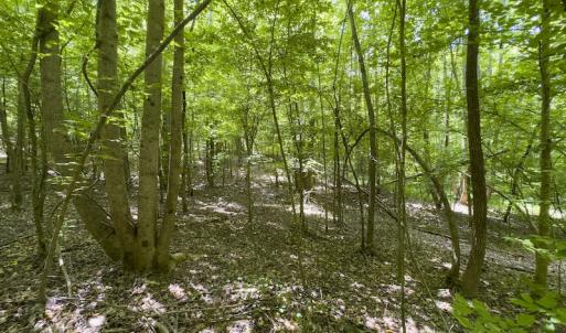 Photo #18 of SOLD property in Off Centennial Drive , Yanceyville, NC 4.0 acres