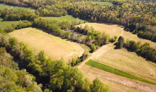 Photo #4 of SOLD property in Off Deisher Blvd , Eagle Rock, VA 183.0 acres