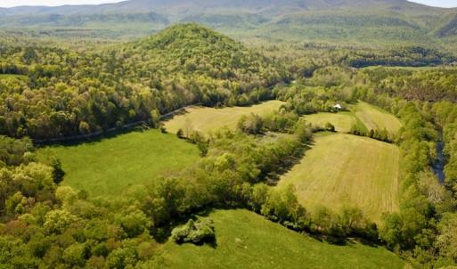 Photo #5 of SOLD property in Off Deisher Blvd , Eagle Rock, VA 183.0 acres