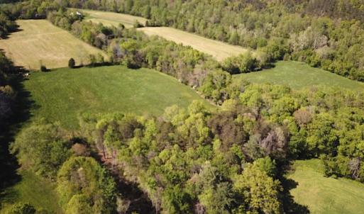 Photo #7 of SOLD property in Off Deisher Blvd , Eagle Rock, VA 183.0 acres