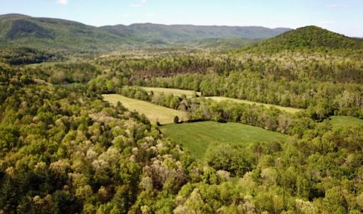 Photo #8 of SOLD property in Off Deisher Blvd , Eagle Rock, VA 183.0 acres
