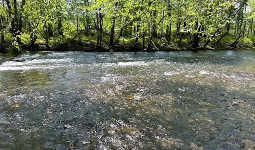 Photo #15 of SOLD property in Off Deisher Blvd , Eagle Rock, VA 183.0 acres