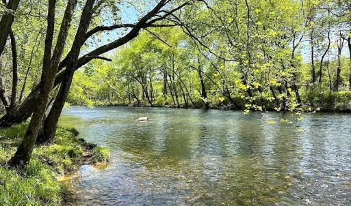 Photo #16 of SOLD property in Off Deisher Blvd , Eagle Rock, VA 183.0 acres