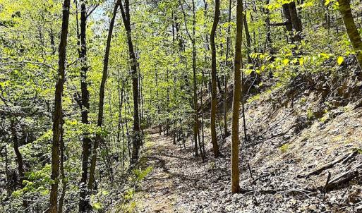 Photo #18 of SOLD property in Off Deisher Blvd , Eagle Rock, VA 183.0 acres