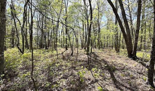 Photo #19 of SOLD property in Off Deisher Blvd , Eagle Rock, VA 183.0 acres