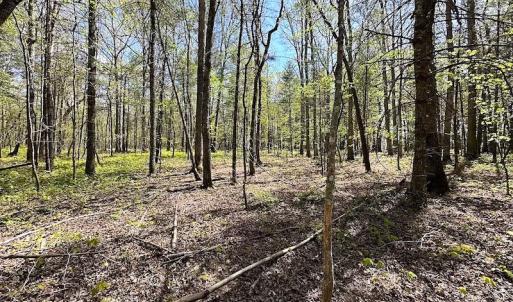 Photo #20 of SOLD property in Off Deisher Blvd , Eagle Rock, VA 183.0 acres