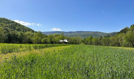 Photo #23 of SOLD property in Off Deisher Blvd , Eagle Rock, VA 183.0 acres