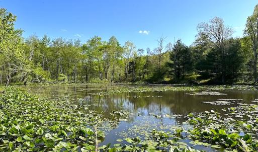 Photo #25 of SOLD property in Off Deisher Blvd , Eagle Rock, VA 183.0 acres
