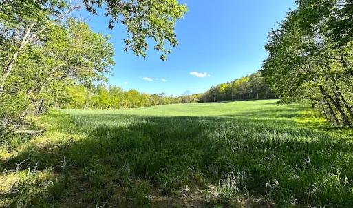 Photo #28 of SOLD property in Off Deisher Blvd , Eagle Rock, VA 183.0 acres