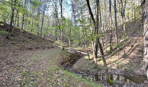 Photo #29 of SOLD property in Off Deisher Blvd , Eagle Rock, VA 183.0 acres