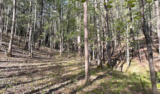 Photo #31 of SOLD property in Off Deisher Blvd , Eagle Rock, VA 183.0 acres