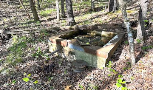 Photo #33 of SOLD property in Off Deisher Blvd , Eagle Rock, VA 183.0 acres