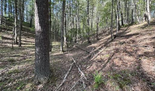 Photo #34 of SOLD property in Off Deisher Blvd , Eagle Rock, VA 183.0 acres