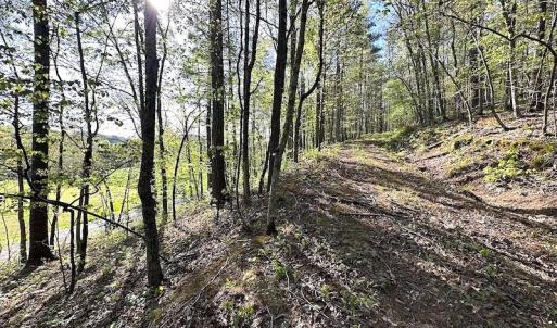 Photo #35 of SOLD property in Off Deisher Blvd , Eagle Rock, VA 183.0 acres