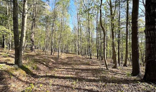 Photo #36 of SOLD property in Off Deisher Blvd , Eagle Rock, VA 183.0 acres
