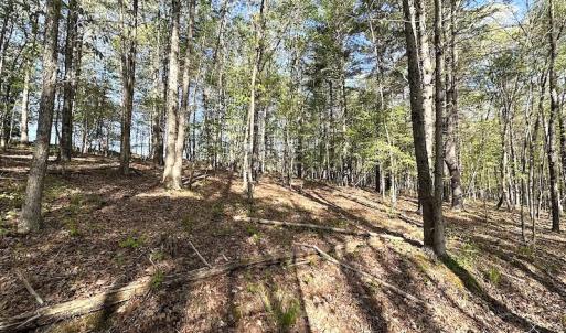 Photo #37 of SOLD property in Off Deisher Blvd , Eagle Rock, VA 183.0 acres