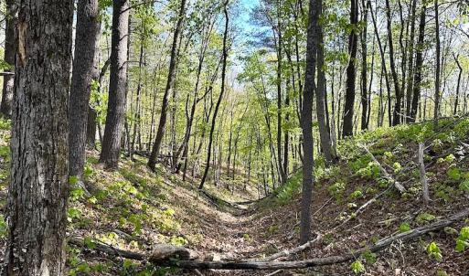 Photo #38 of SOLD property in Off Deisher Blvd , Eagle Rock, VA 183.0 acres