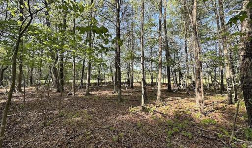 Photo #39 of SOLD property in Off Deisher Blvd , Eagle Rock, VA 183.0 acres