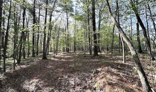 Photo #40 of SOLD property in Off Deisher Blvd , Eagle Rock, VA 183.0 acres