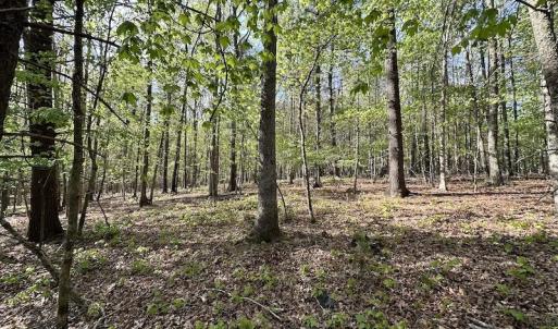 Photo #42 of SOLD property in Off Deisher Blvd , Eagle Rock, VA 183.0 acres