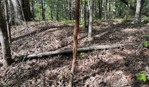Photo #43 of SOLD property in Off Deisher Blvd , Eagle Rock, VA 183.0 acres