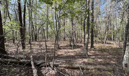 Photo #44 of SOLD property in Off Deisher Blvd , Eagle Rock, VA 183.0 acres