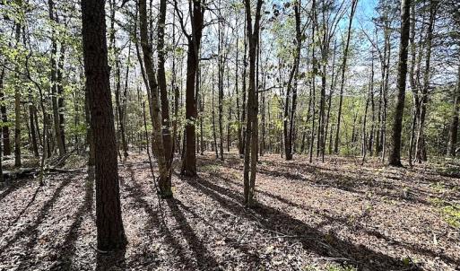 Photo #45 of SOLD property in Off Deisher Blvd , Eagle Rock, VA 183.0 acres