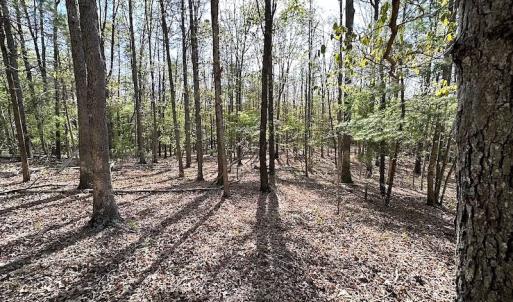 Photo #46 of SOLD property in Off Deisher Blvd , Eagle Rock, VA 183.0 acres